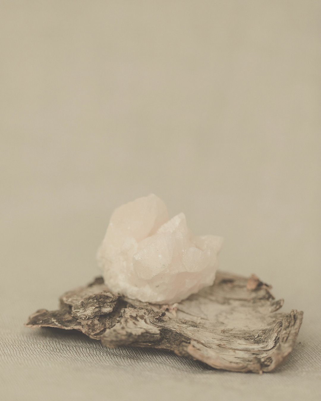 Mindful Radiance, January Mentoring 2026