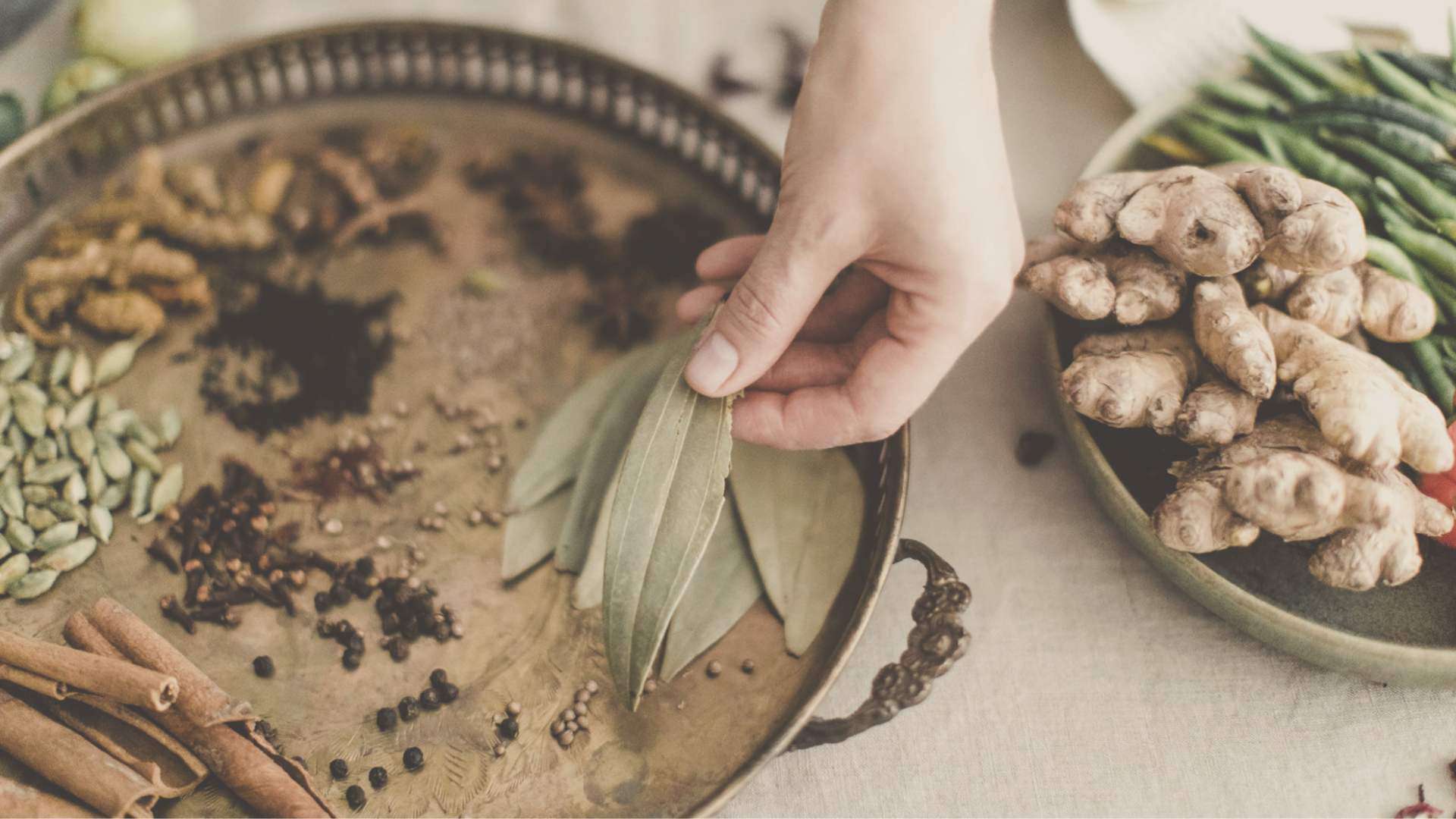 Ayurvedic Consultation