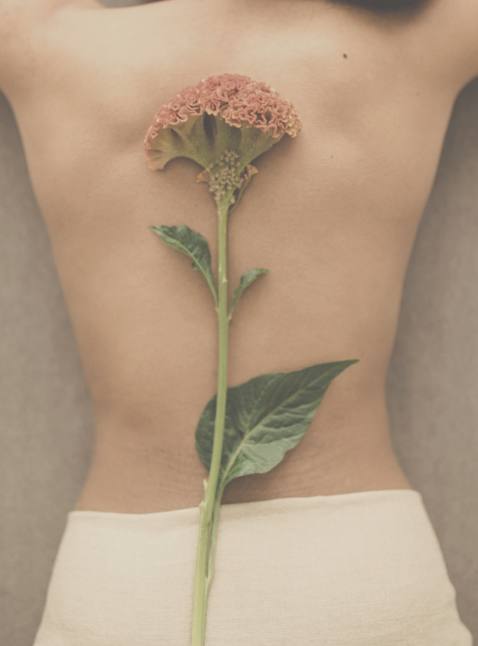 Not sure what to choose? Book this and we will take care of the rest.