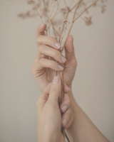 close-up of naturally manicured hands holding beige dried flowers